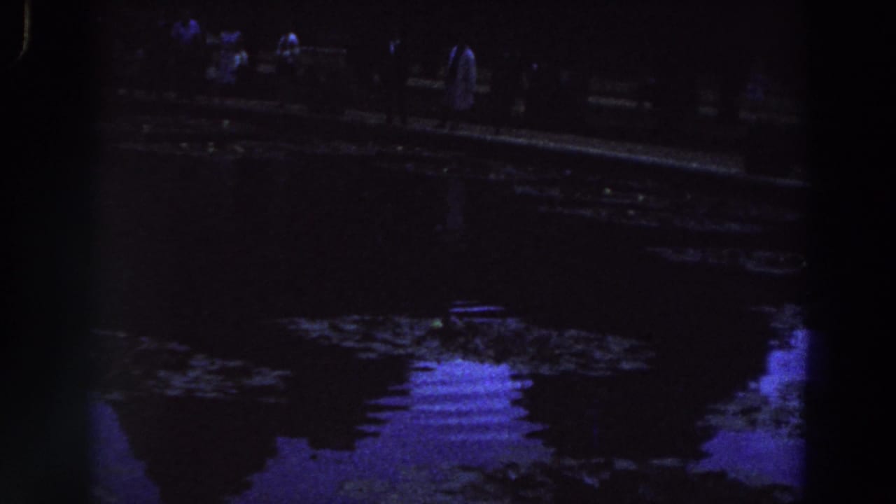Dim pond view with a few figures on the far edge and strong purple reflections in the water.