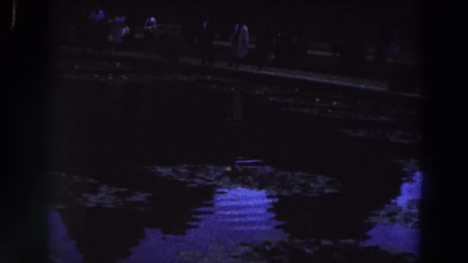 1961 Ireland home-movie frame of people silhouetted beside a pond, with blue-purple light reflected on rippled water.