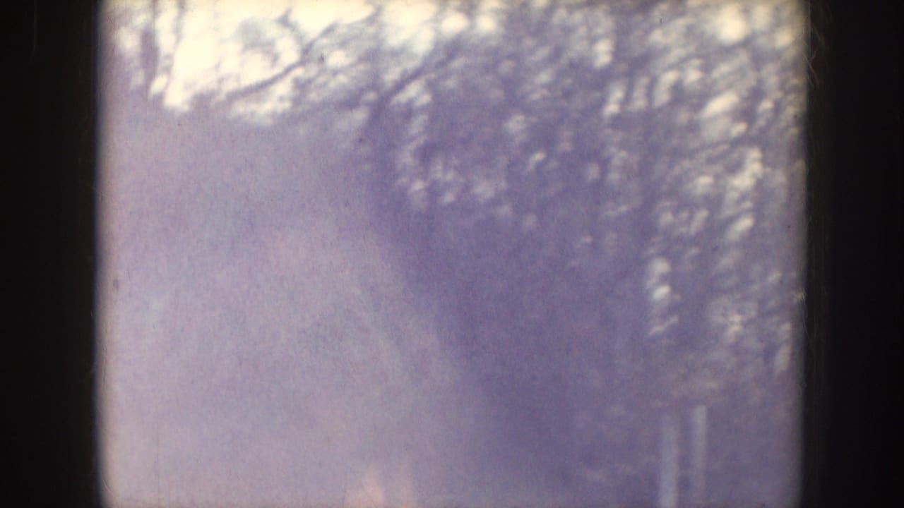 Soft 8mm frame with trees and a partially obscured outdoor field.