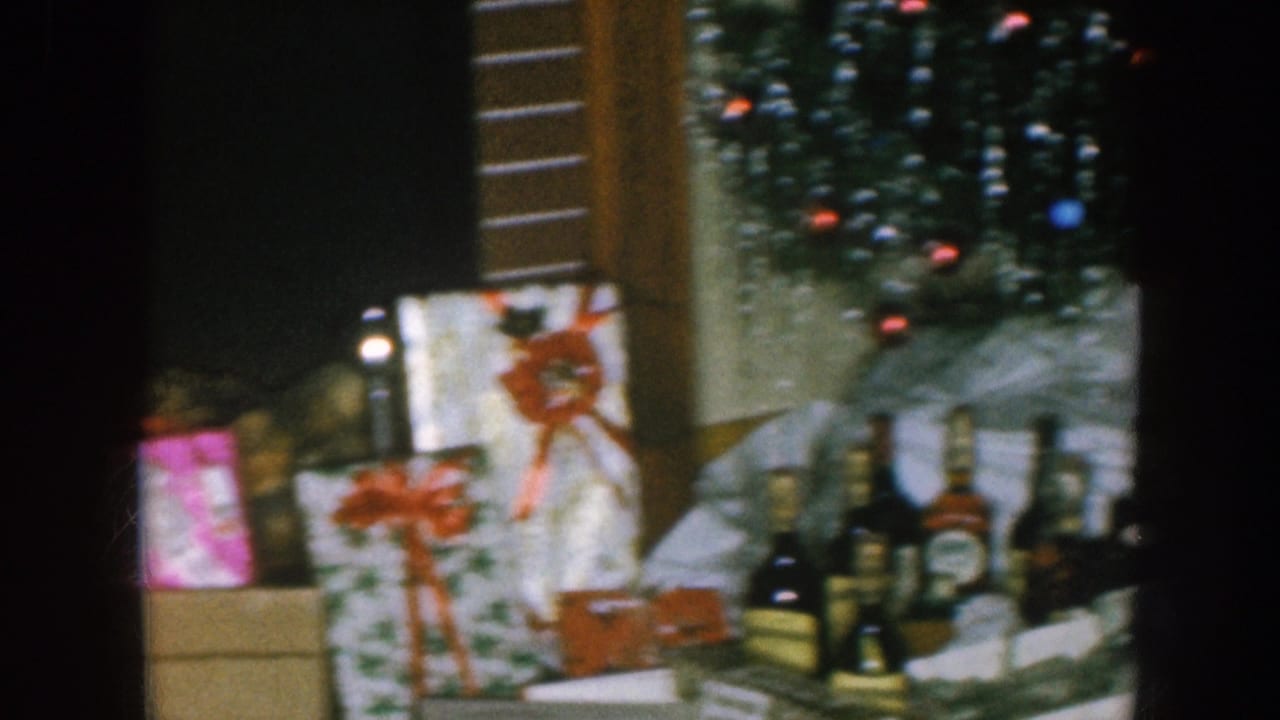 Wrapped Christmas gifts and liquor bottles beneath tree branches.