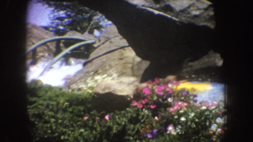 1962 Disneyland frame showing artificial rocks, waterfall spray, planted shrubs, pink flowers and part of a yellow coaster train near the bottom edge.