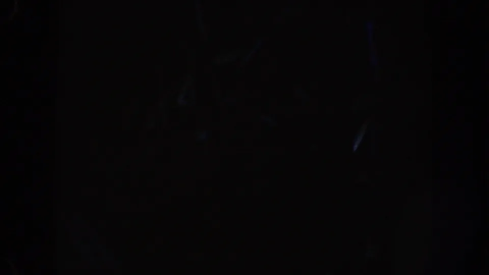 Underexposed 1962 Disneyland ride-interior frame, mostly black with faint film marks and barely readable shapes in shadow.