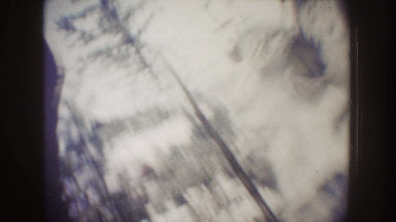 Blurred pale tree-like shapes and a diagonal dark line against a light background.