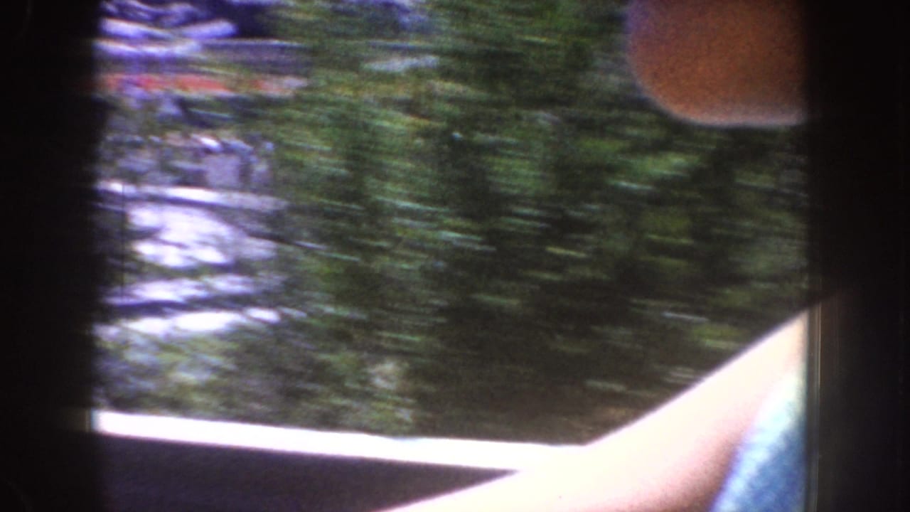 Blurred roadside trees seen from inside a moving car, with a passenger arm near the window frame.