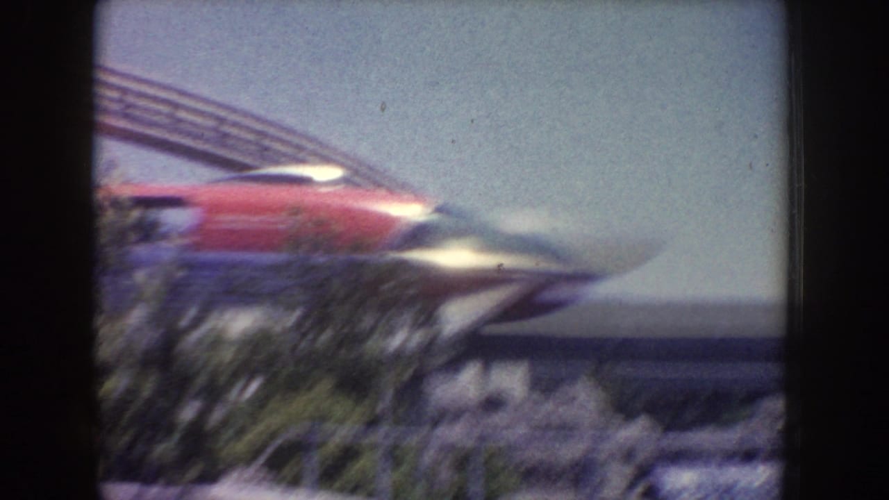 Red-and-silver monorail moving along an elevated track above trees.