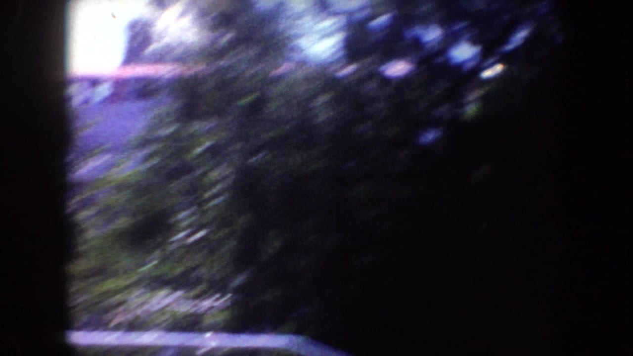 Blurred roadside greenery seen through dark film-frame edges.