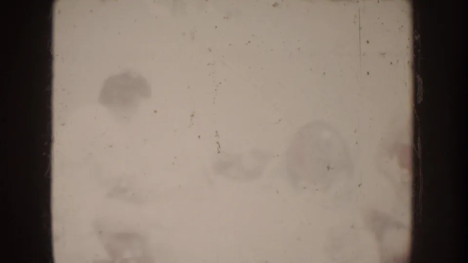 Overexposed 8mm frame from the 1962 Disneyland clip, with only faint human shapes and film dust visible.