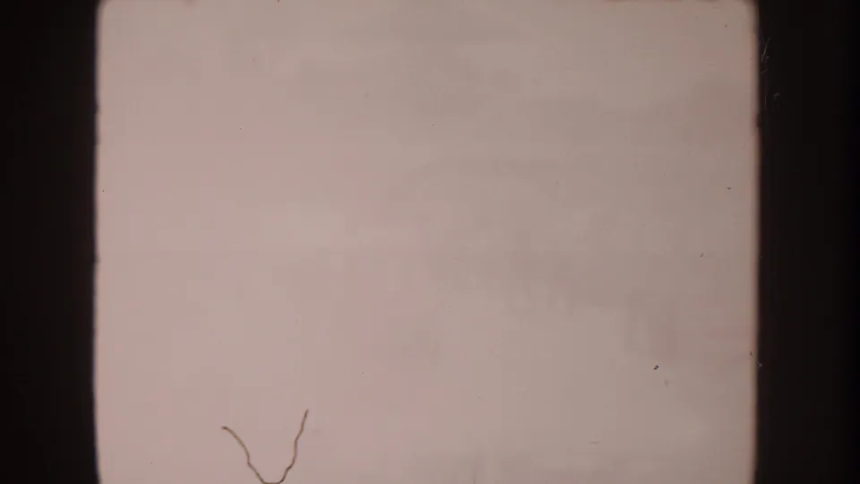 Overexposed 8mm frame from the Disneyland clip with visible dust, scratches, and very faint scene detail.