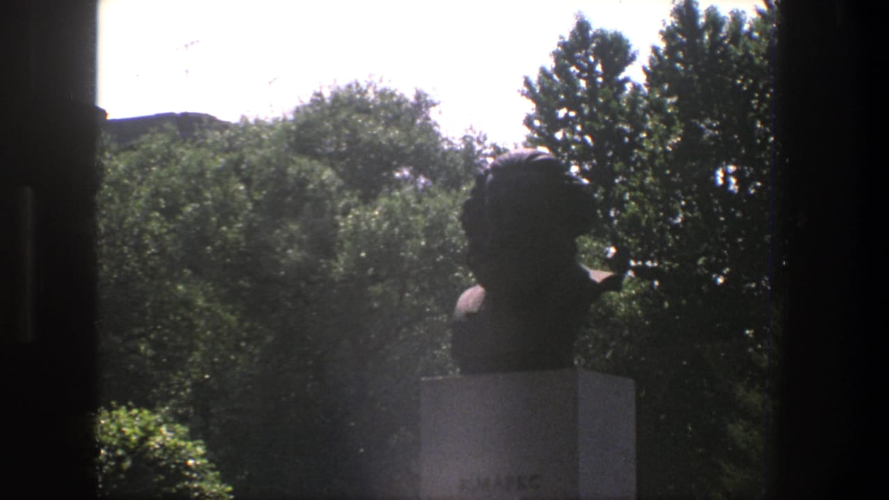 Dark bust on a pale pedestal seen through vertical window framing with trees behind it.