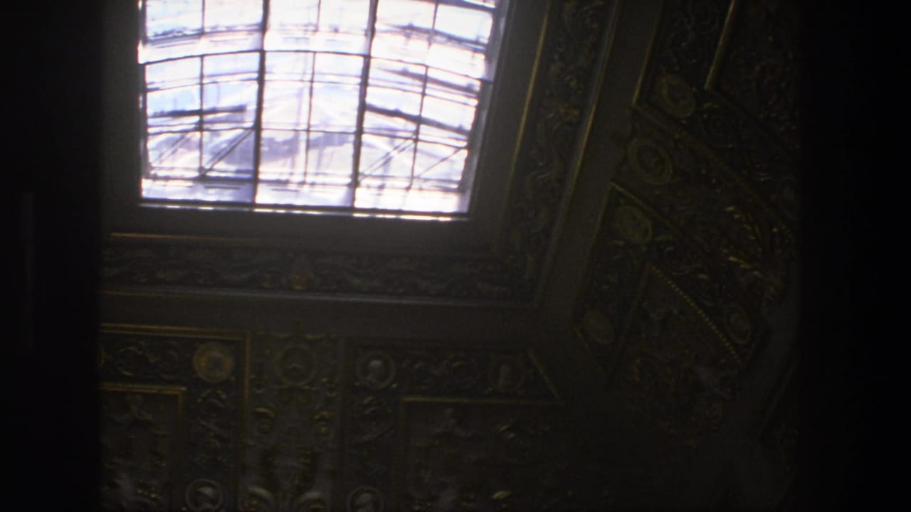 Bright skylight beside dark ornate ceiling panels and decorative trim.