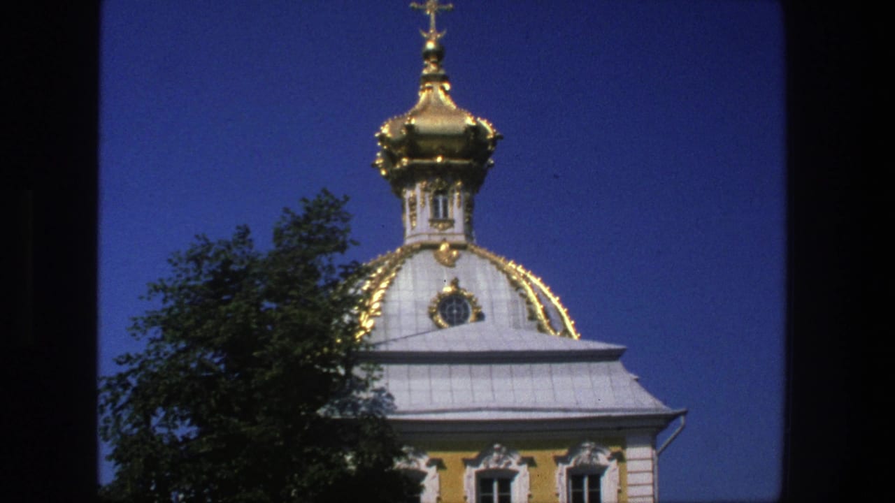 Ornate domed church roof with gilded details beside dark tree foliage and blue sky.