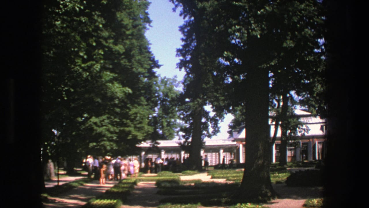 People stand in line on a sunny path beneath tall trees near a white building.