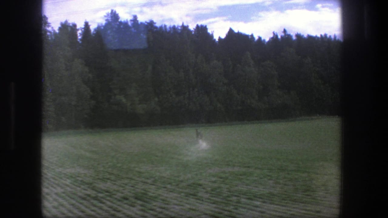 Green field bordered by dense trees under a cloudy sky.
