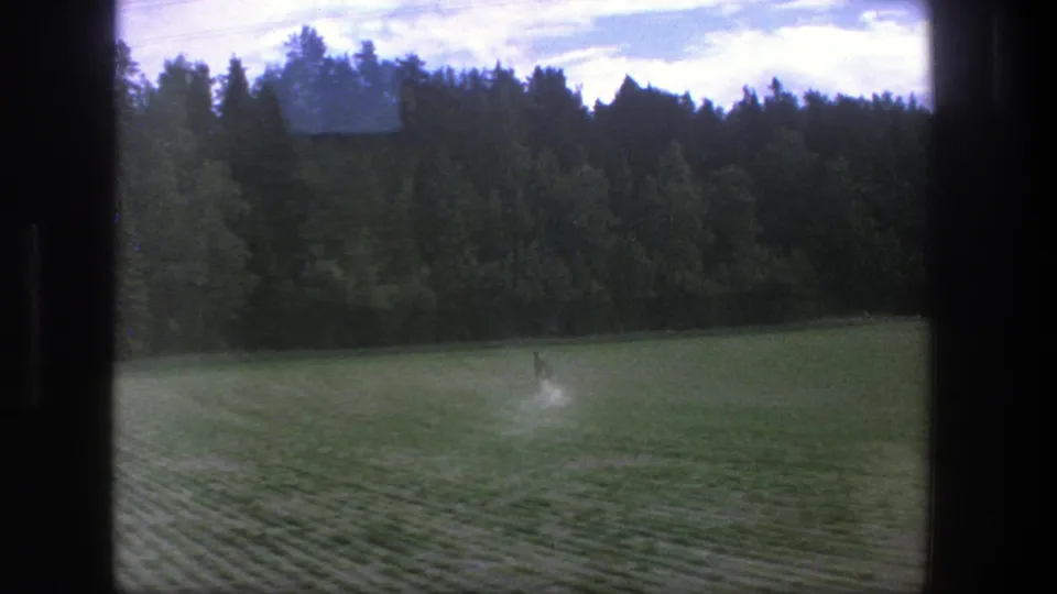 1975 Denmark 8mm countryside view with a green field, dark tree line, partly cloudy sky, and a pale streak on the film.