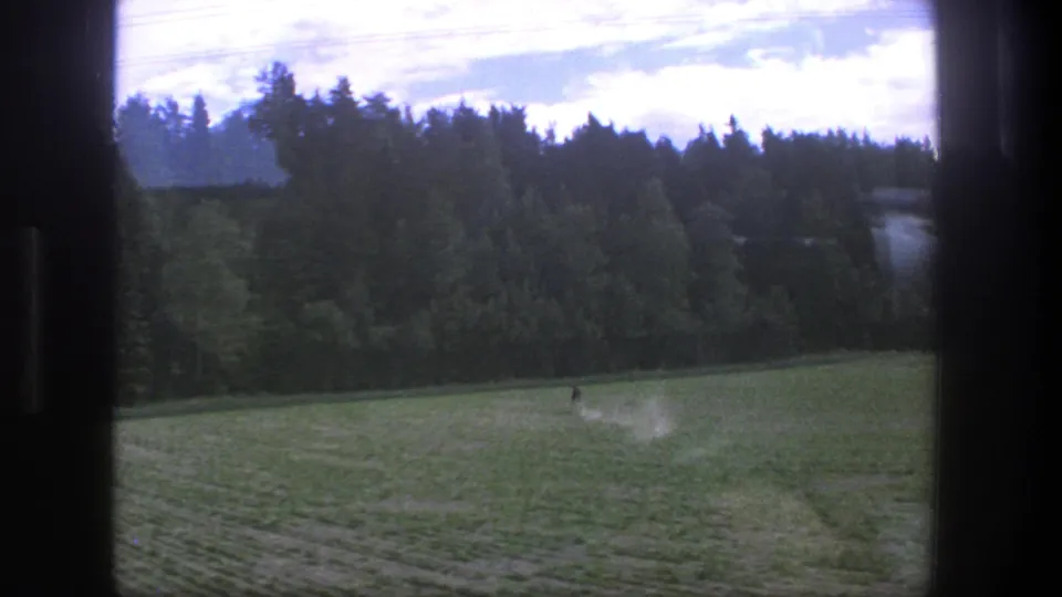 1975 Denmark countryside frame showing an open green field, dense trees, bright clouds, and visible 8mm frame edges.