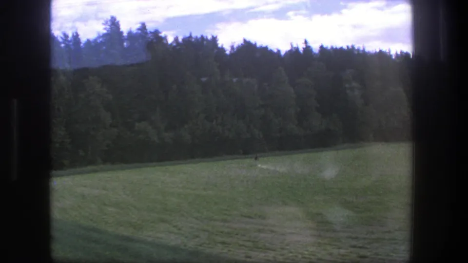1975 Denmark rural landscape with a green field, wooded horizon, partly cloudy sky, and visible home-movie film artifacts.