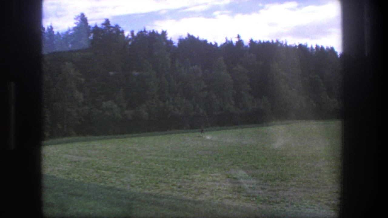 1975 Denmark 8mm frame showing a grassy field bordered by trees, viewed through dark interior framing.