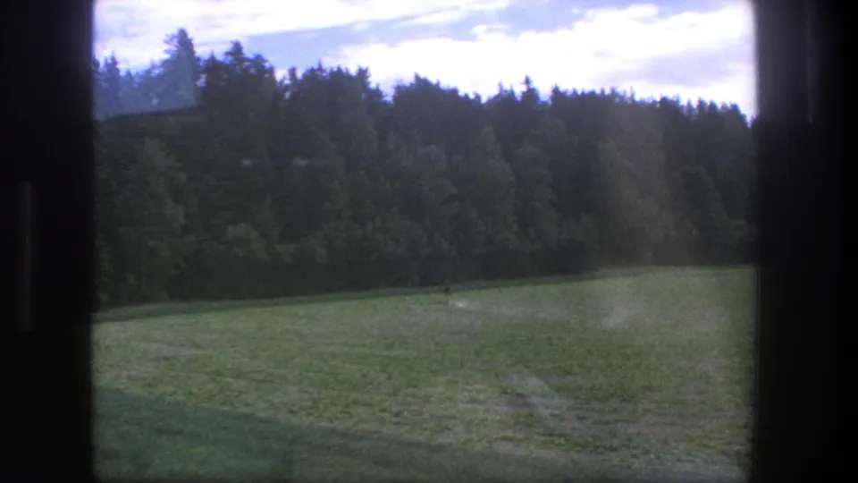 1975 Denmark 8mm frame showing a grassy field bordered by trees, viewed through dark interior framing.
