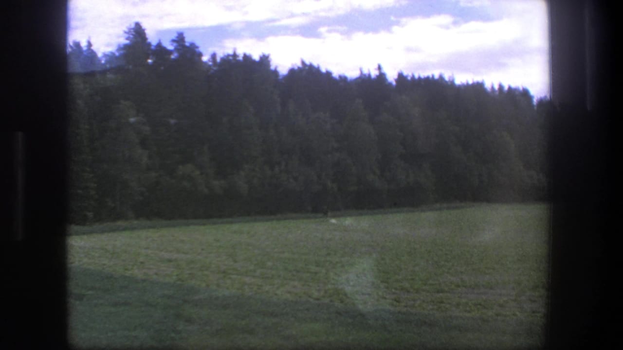 Open field and forest line viewed through dark vertical framing.