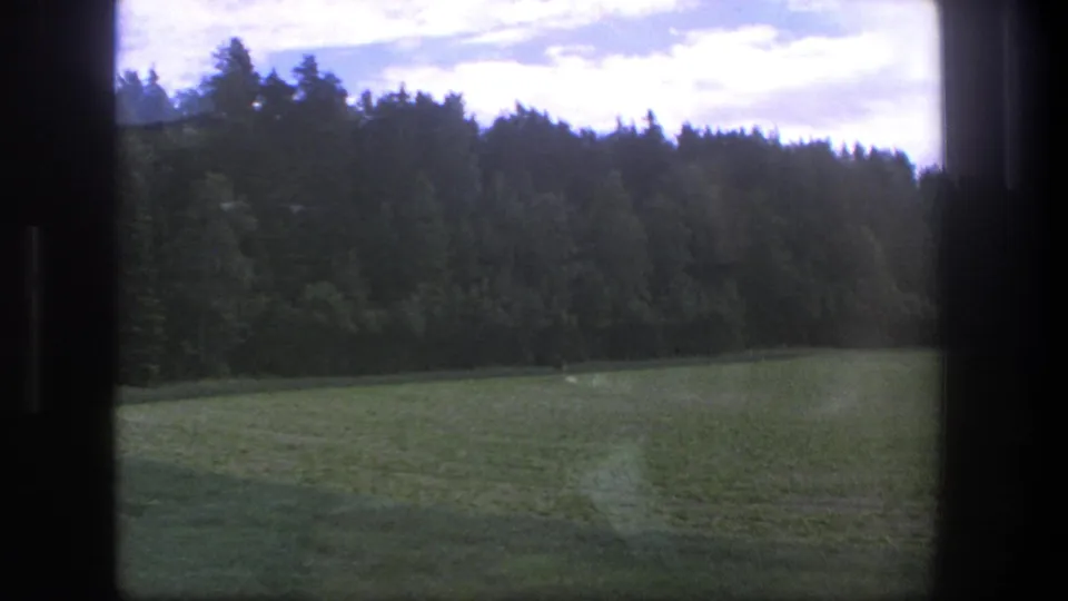 1975 Danish countryside view with a green field, forest edge, cloudy sky, and dark window-like borders.