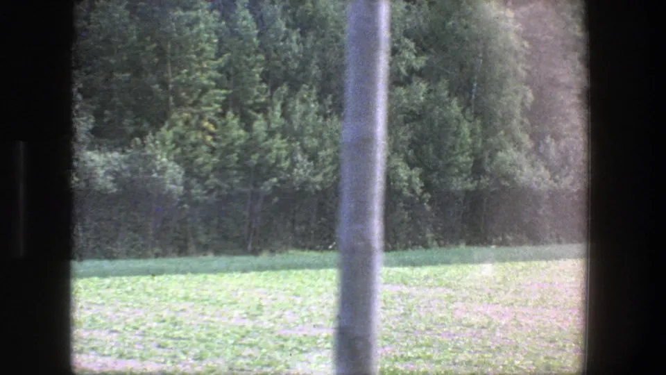 1975 Danish rural frame showing the zoomed forest edge, grassy field, and a vertical foreground pole or window element.