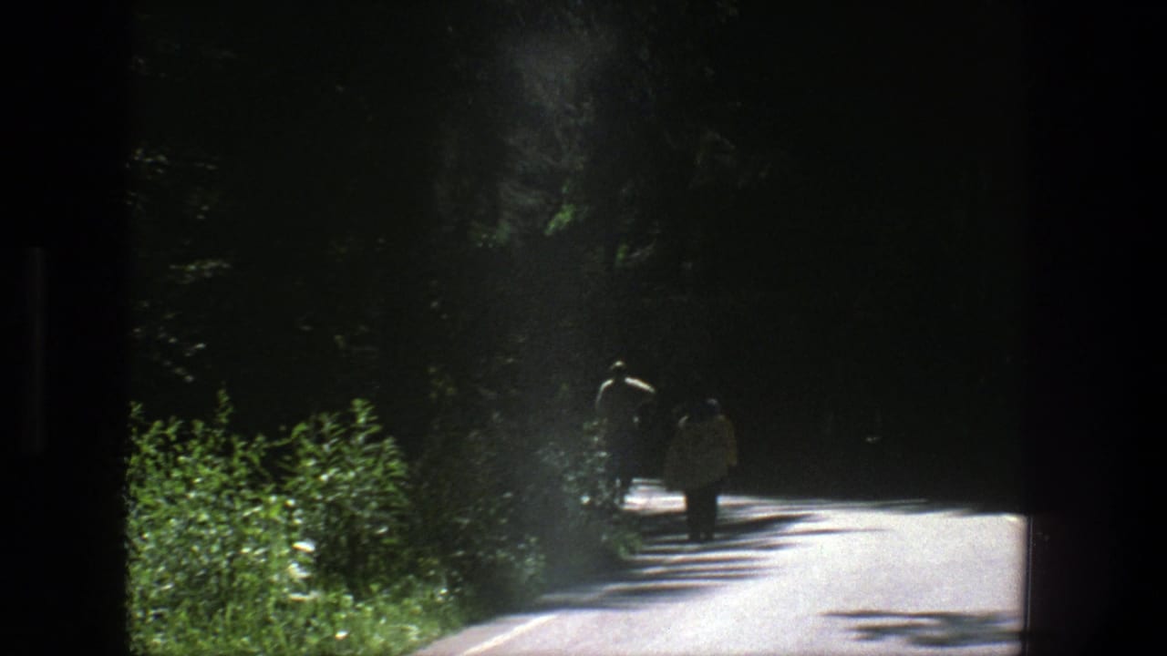 Two people walking away on a sunlit forest road bordered by greenery.