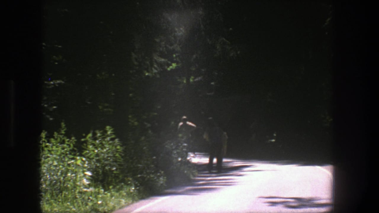 Two distant figures continue along a bright road beside dense shrubs.