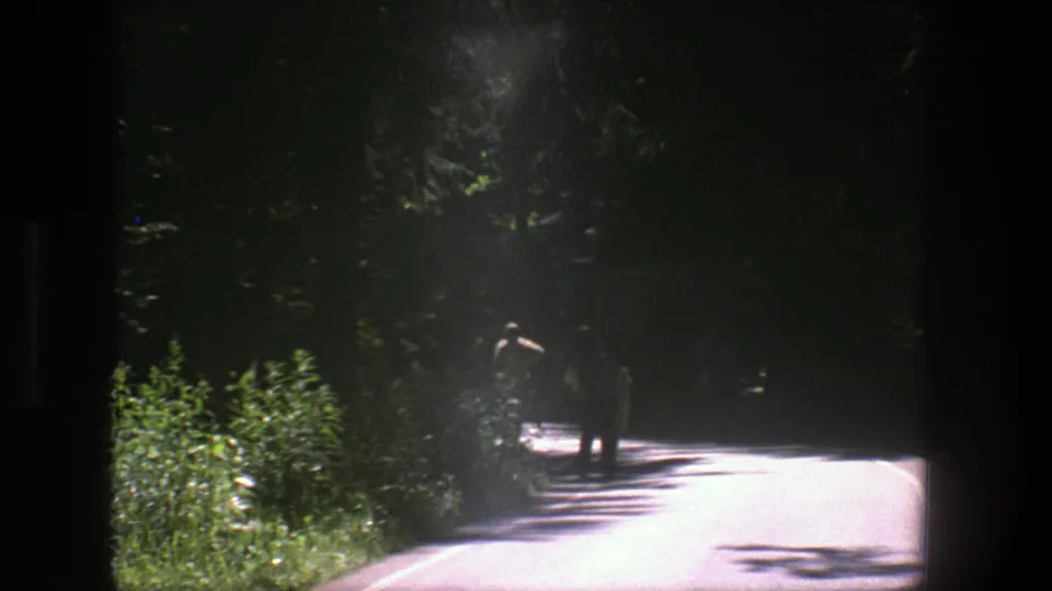 The walkers remain distant on the Danish forest road, framed by dark trees, roadside plants, and a bright strip of pavement.