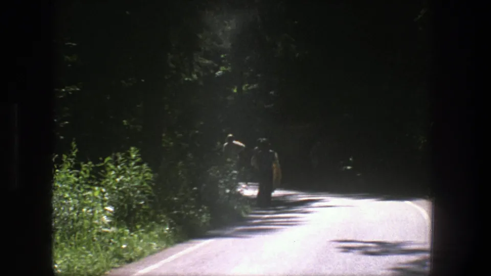 In this 1975 Denmark frame, two figures pass through heavy shade beside lush roadside growth on a narrow paved road.