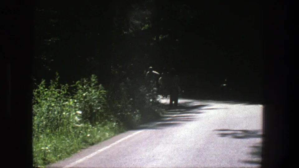 A distant walker is silhouetted on the curving Danish forest road, with another figure partly obscured by shade and foliage.