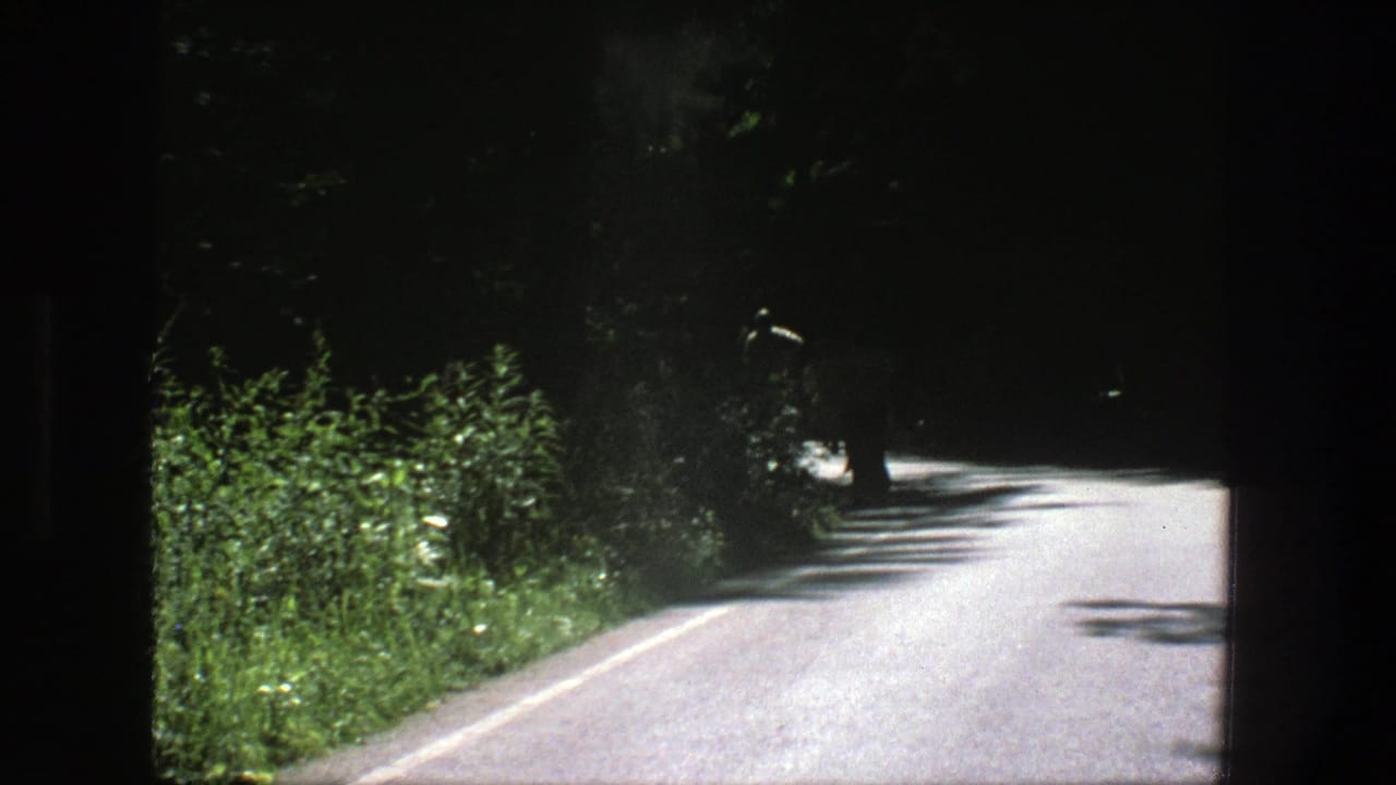 Two men walk away on a narrow forest road bordered by bushes and trees.