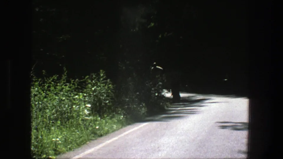1975 Denmark 8mm frame showing two distant men walking away on a sunlit forest road with dense greenery at the roadside.