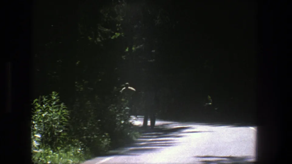 Grainy 8mm view of two men walking away on a wooded road in Denmark, with strong contrast between shadow and sunlit pavement.