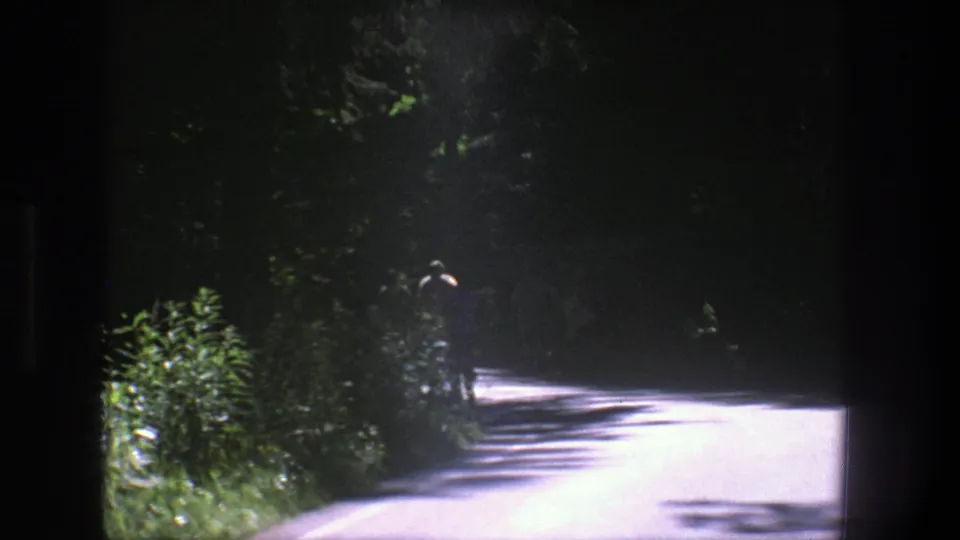 1975 Denmark 8mm frame showing a quiet forest road with bright sunlight, deep shade, and dense green trees.