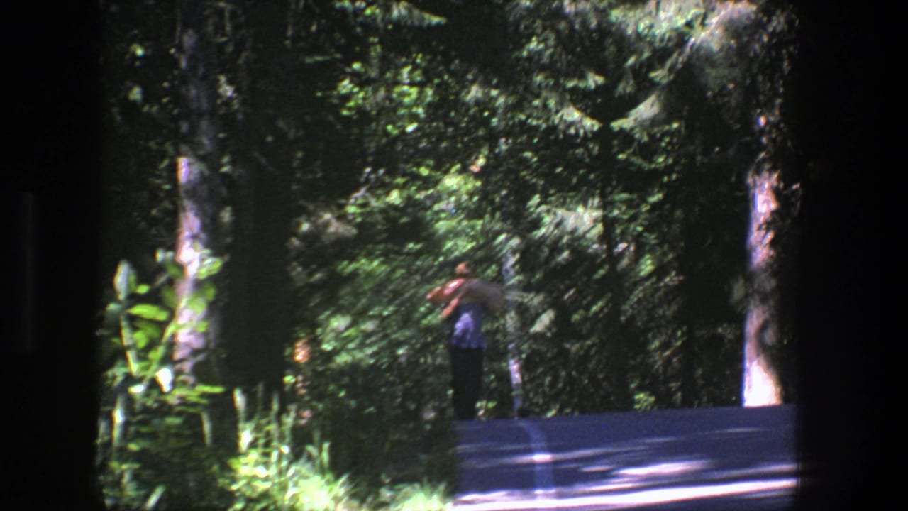 Distant woman walking on a wooded road beside tall trees.