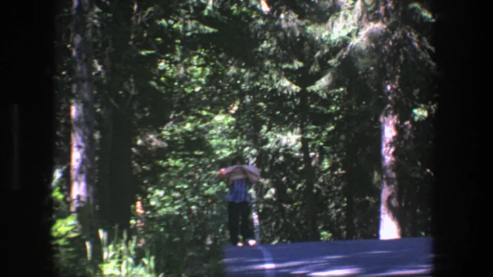1975 Denmark 8mm frame showing a woman under tall trees, partly shaded by dense forest foliage.