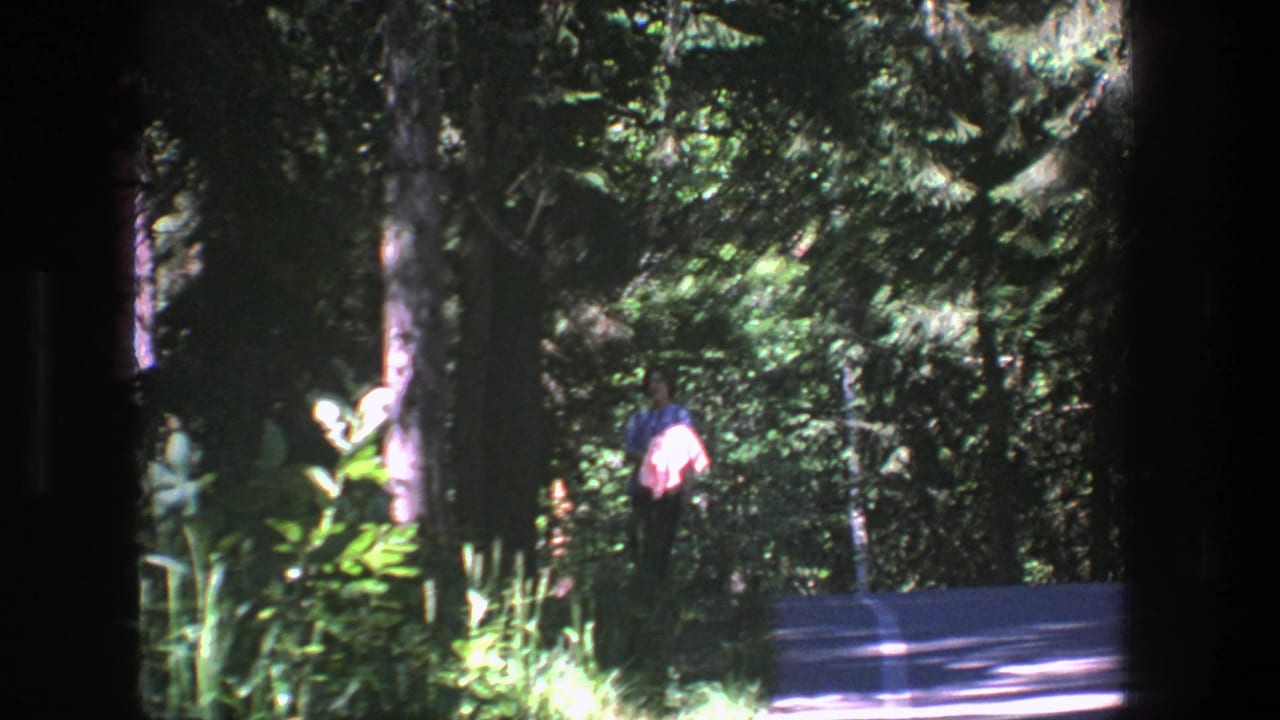 Person walking beside a paved road through dense forest.