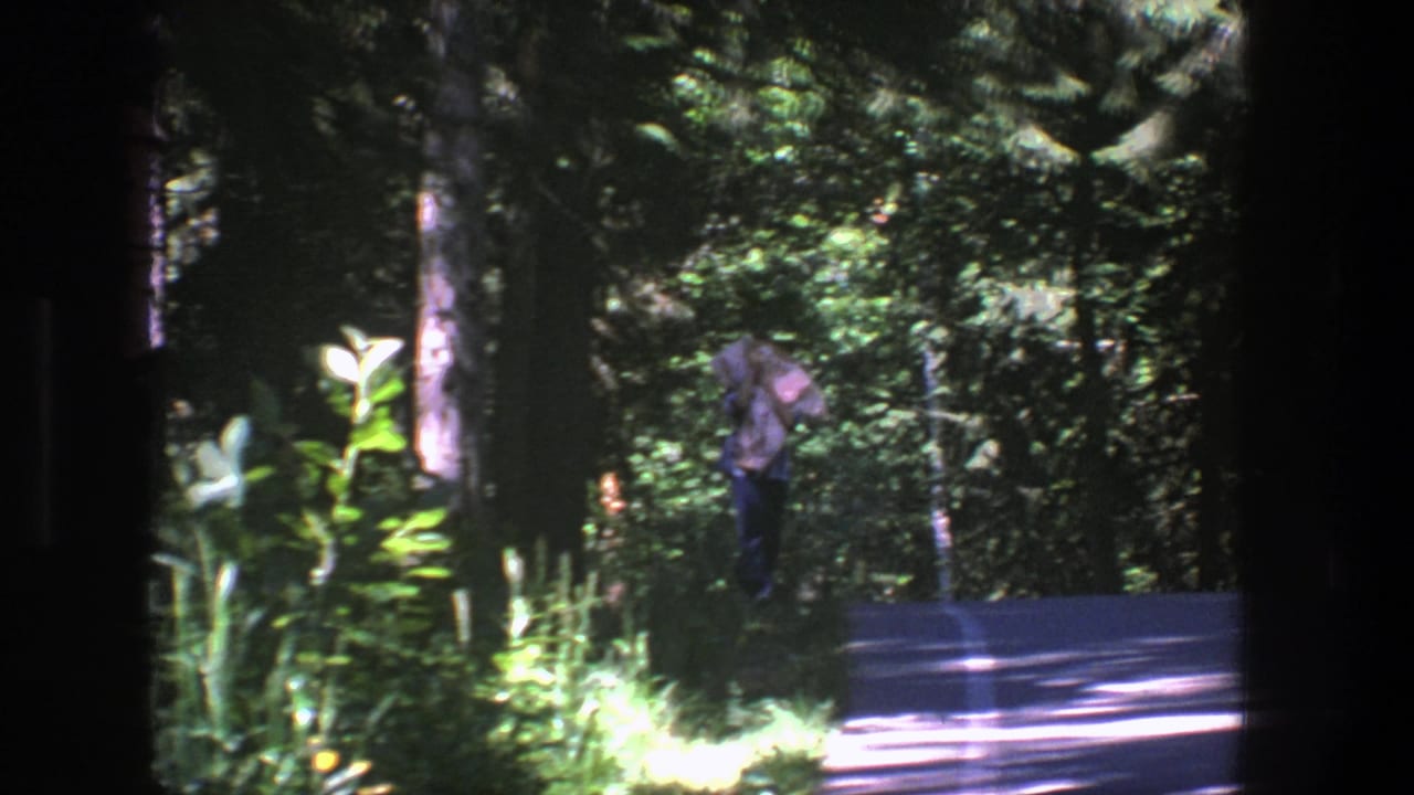 Person standing or walking near the edge of a forest road.