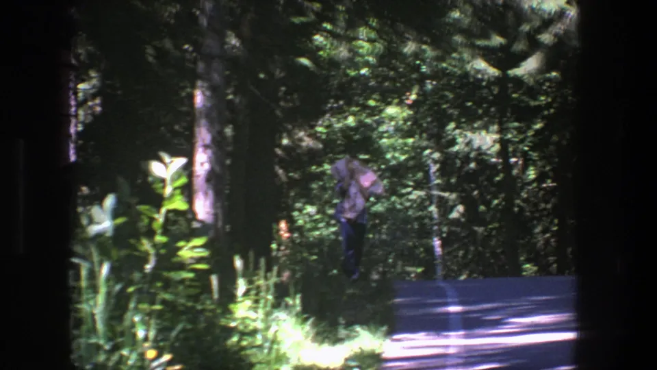 The figure appears near the roadside under tall trees, partly shaded by dense greenery in Denmark, 1975.