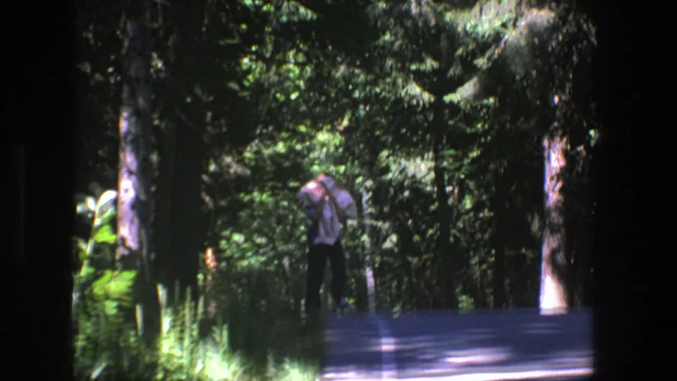 A person near the paved road appears to carry or adjust a light bundle against a dark green forest backdrop.