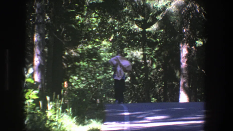 A distant figure with a light-colored bundle stands or walks beside the paved forest road in Denmark, 1975.