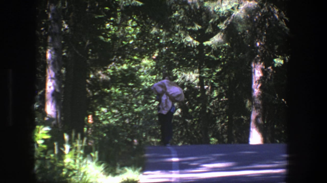A distant person stands or walks on a shaded forest road carrying a pale bundle.