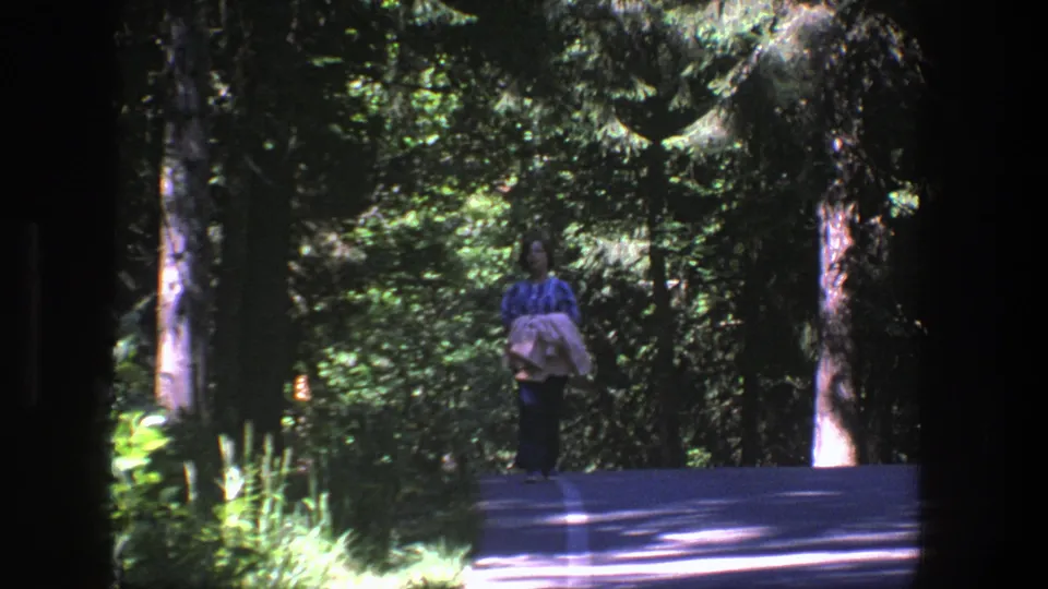 The 1975 Denmark 8mm frame shows a person in a blue top carrying a pale bundle on a shaded road through green woods.