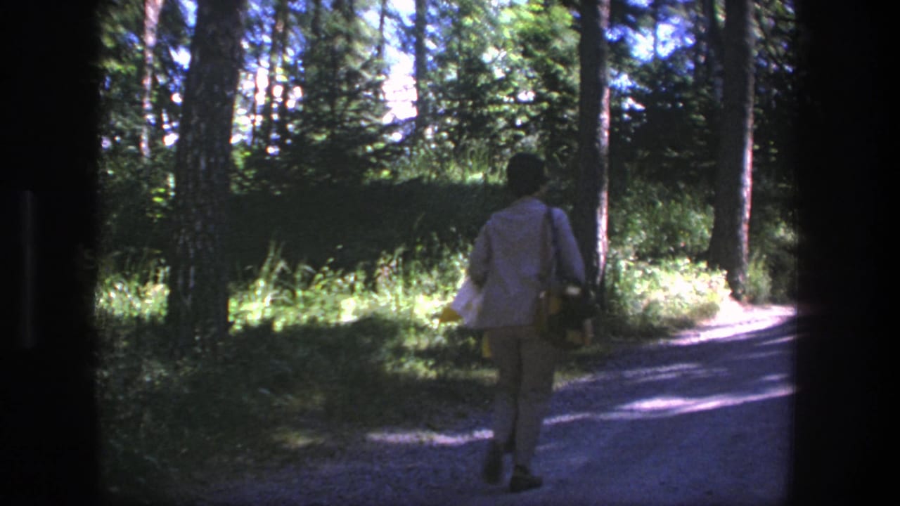 Person farther down a dirt road bordered by dense trees and bright sunlight.