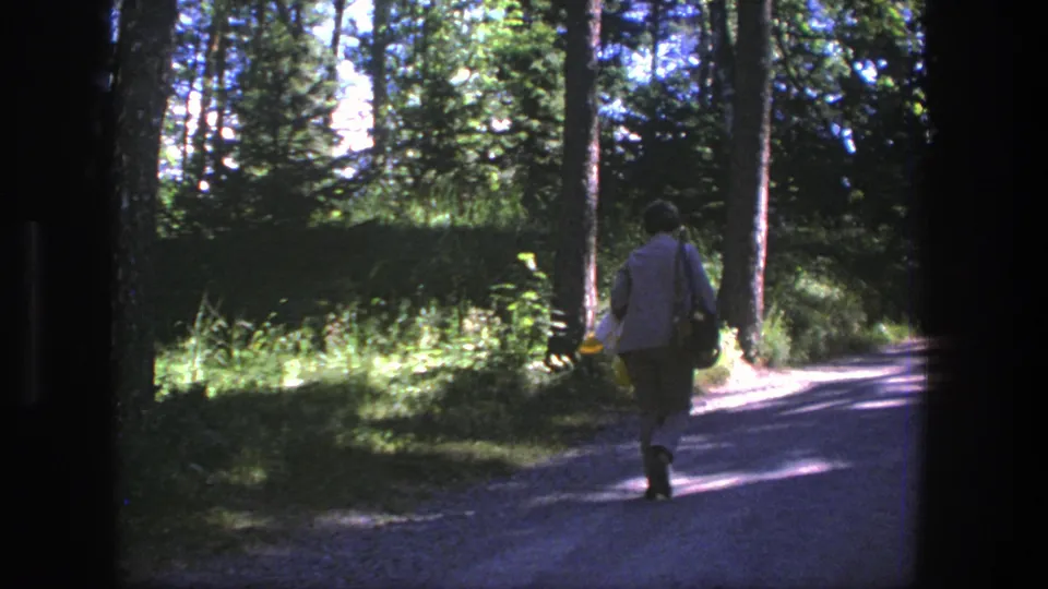 A 1975 Denmark forest-path view shows the person receding into shade while carrying a shoulder bag.