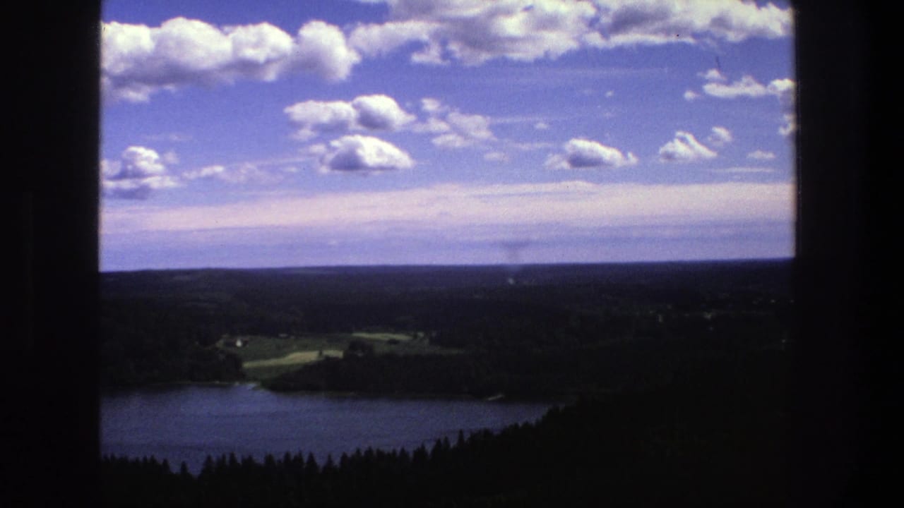 Lake, forest, distant fields, low horizon, blue sky, and puffy clouds seen through dark edges.
