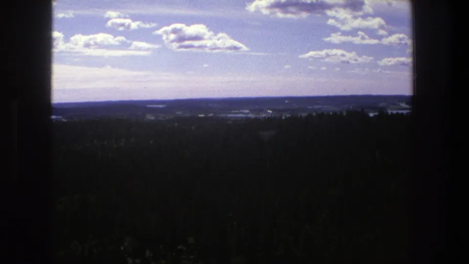 1975 Denmark 8mm frame with a broad wooded landscape, low rolling horizon, and pale blue-purple sky with scattered clouds.