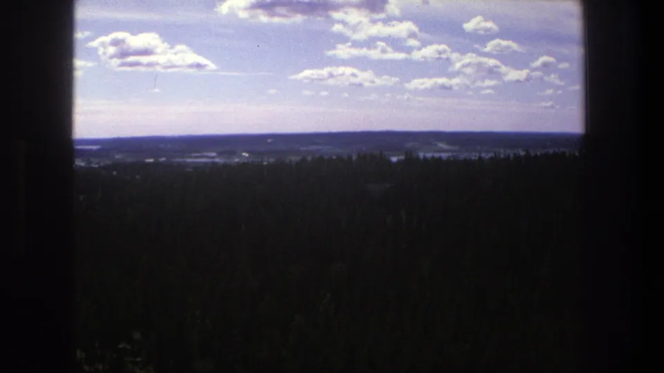 1975 Denmark 8mm frame of a broad rural horizon, dense tree cover, and partly cloudy sky with soft film color fading.