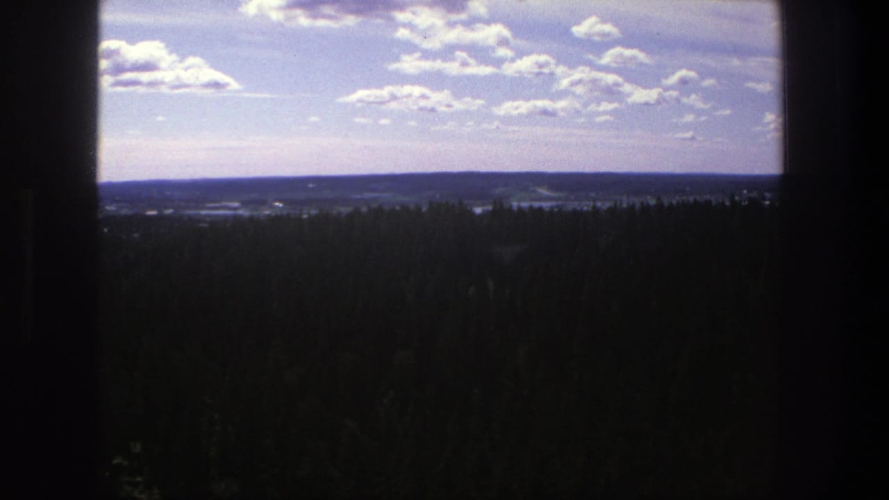 1975 Denmark 8mm frame showing dense forest below a bright sky, viewed through a dark window-like opening.