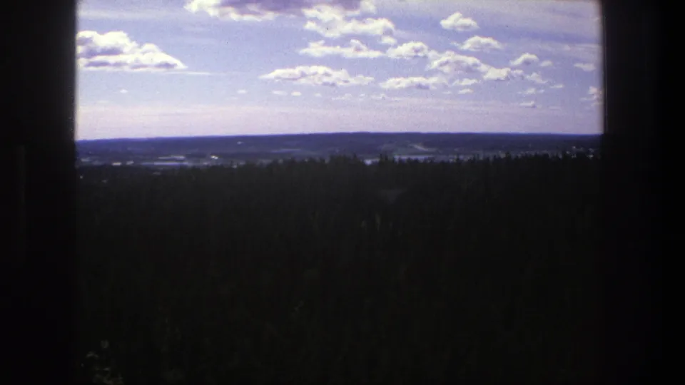 1975 Denmark 8mm frame showing dense forest below a bright sky, viewed through a dark window-like opening.